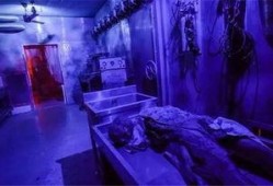 鬼屋在线观看免费,揭秘恐怖背后的真实故事